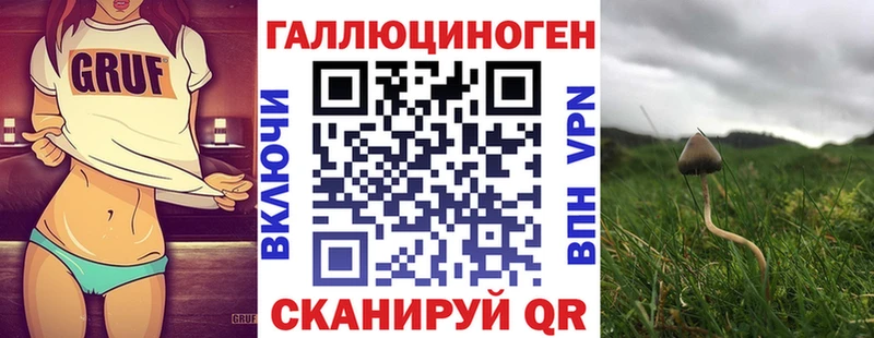 закладки  Задонск  гидра ТОР  Галлюциногенные грибы Cubensis 